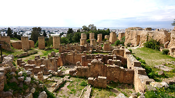 �J���^�S�@���