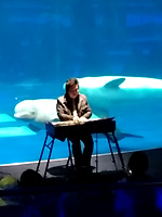 佐伯モリヤス ハモンドオルガン アクアス シロイルカ