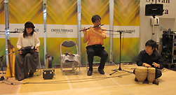 アイルランド音楽演奏家 守安功 守安雅子 セッション佐伯モリヤス クロステラス盛岡