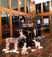 佐伯モリヤス ハモンドオルガン 森のレストラン