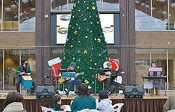 �J�z�� ��p�X�^���h �����������X �p�[�J�b�V����