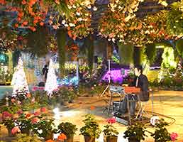 �t�H�[�Q���p�[�N �����������X ���] �X�e�[�W�C�x���g �R���T�[�g ���C�u ���t �I���K�� �n�����h�I���K�� ���X���[�X�s�[�J�[