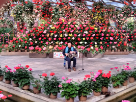 �����������X �_���u�b�J �_���u�J ���]�t�H�[�Q���p�[�N