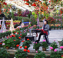 �����������X �n�����h�I���K�� �_���u�J ���]�t�H�[�Q���p�[�N