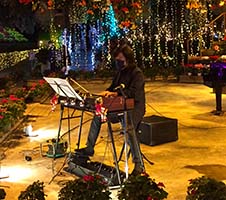 �N���X�}�X ���t �t�H�[�Q���p�[�N �����������X